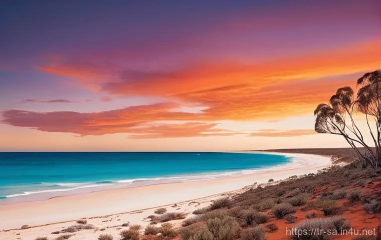 남아프리카 공화국과 호주 기후 비교 - **South African Climate Mosaic: Vineyards, Safari, and Mountains.**
    "A stunning panoramic landsc...
